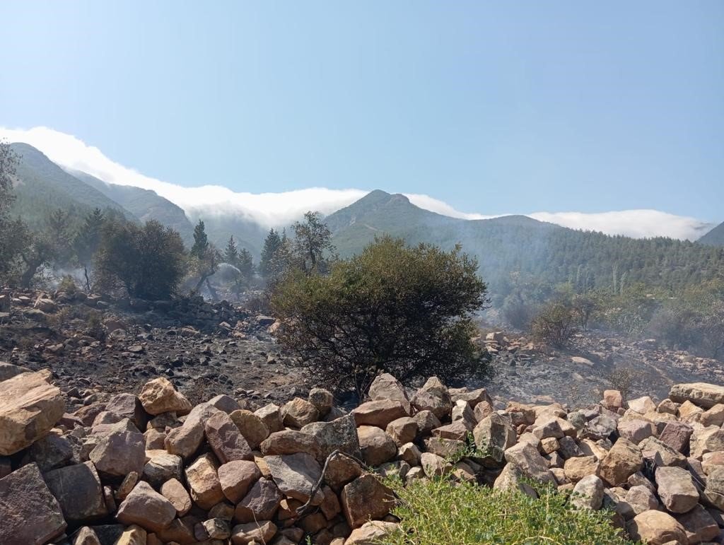 Hatay’daki orman yangını ekiplerin müdahalesiyle kontrol altına alındı
