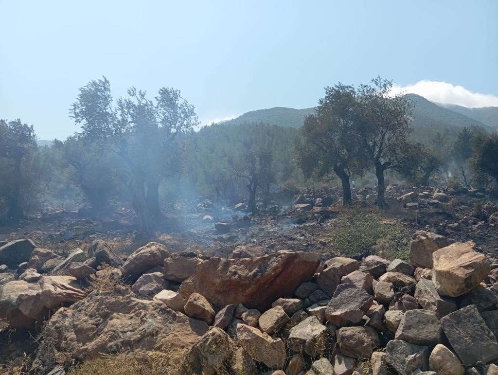 Hatay’daki orman yangını ekiplerin müdahalesiyle kontrol altına alındı