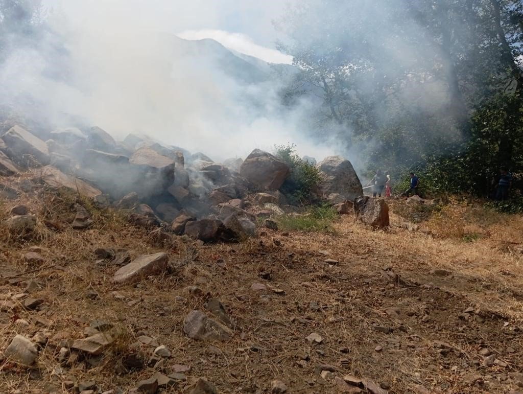 Hatay’daki orman yangını ekiplerin müdahalesiyle kontrol altına alındı
