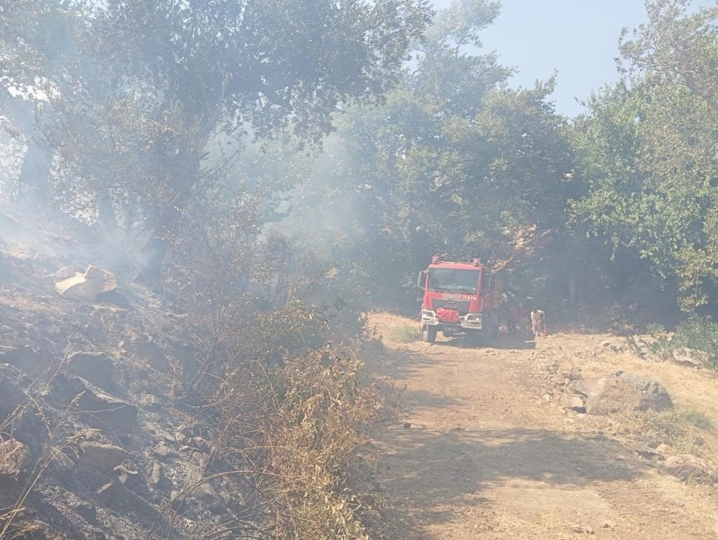 Hatay’daki orman yangını ekiplerin müdahalesiyle kontrol altına alındı
