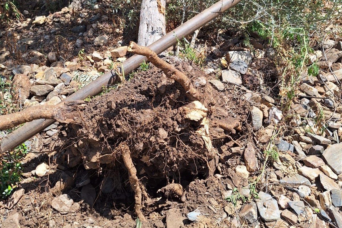Kepçe ve tırla kaçak kazı yapanlar suçüstü yakalandı