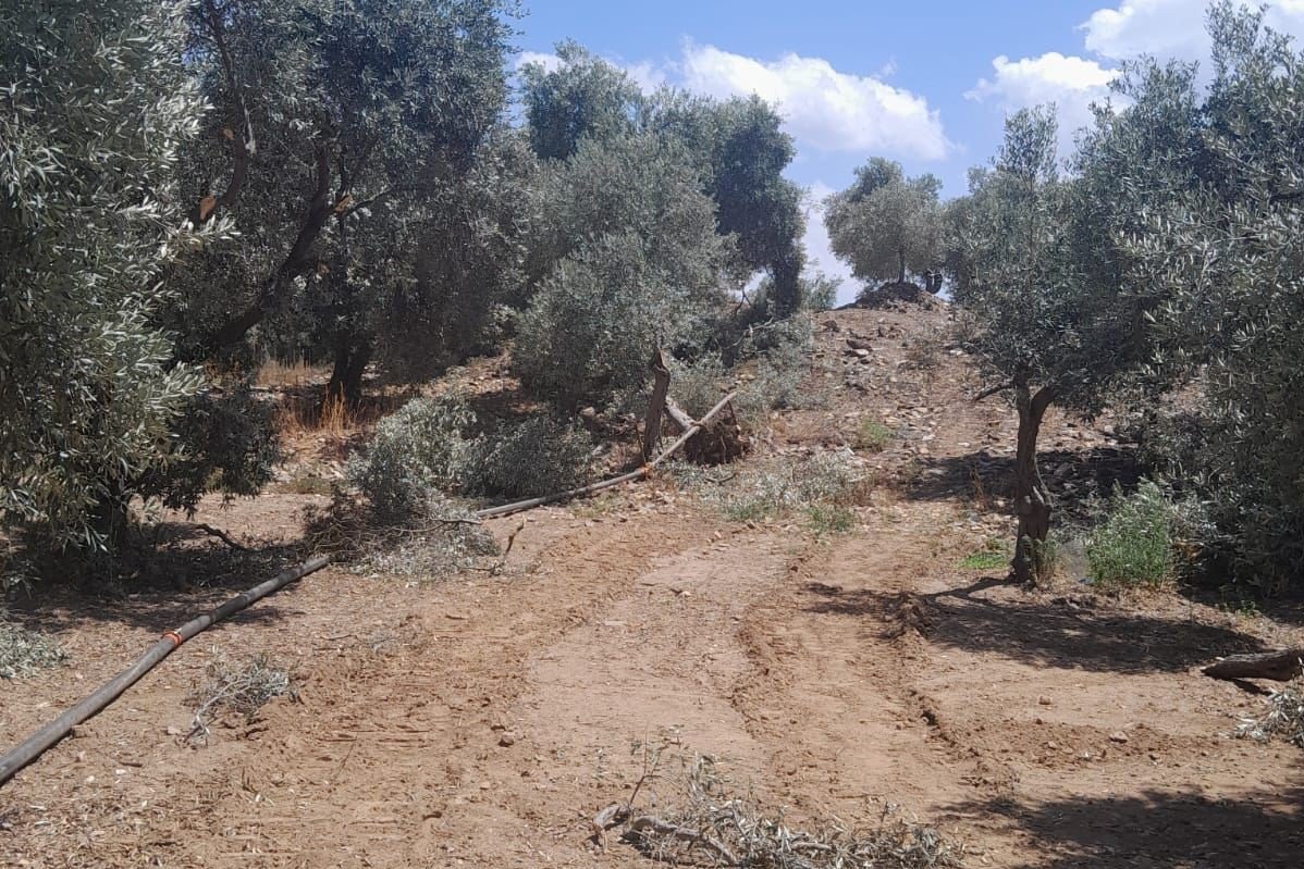 Kepçe ve tırla kaçak kazı yapanlar suçüstü yakalandı