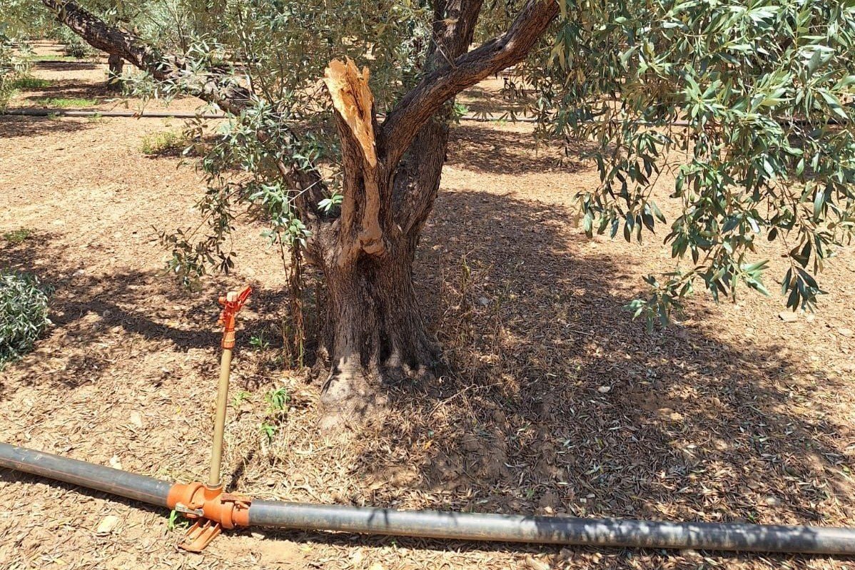 Kepçe ve tırla kaçak kazı yapanlar suçüstü yakalandı