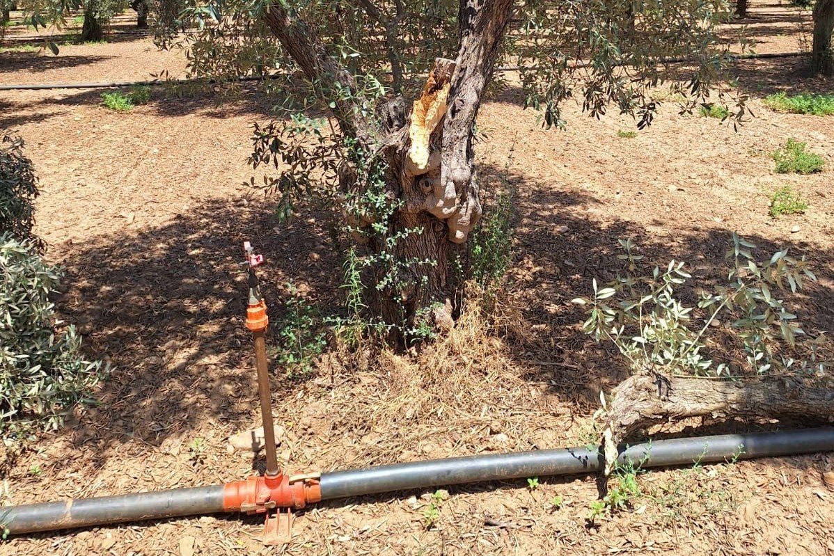 Kepçe ve tırla kaçak kazı yapanlar suçüstü yakalandı