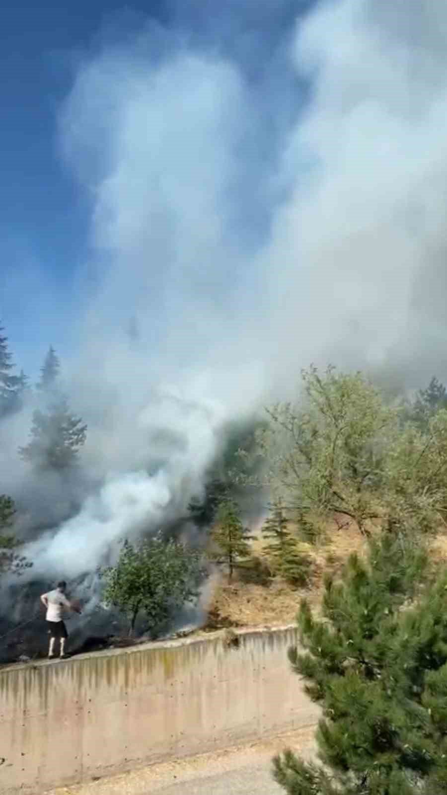 Çamlık arazide çıkan yangına ilk müdahaleyi vatandaş hortumla yaptı