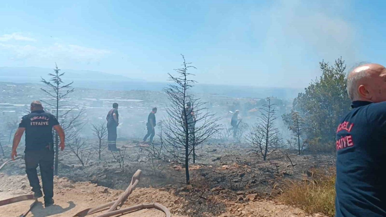 Kocaeli’de ağaçlık alanda çıkan yangında kundaklama iddiası
