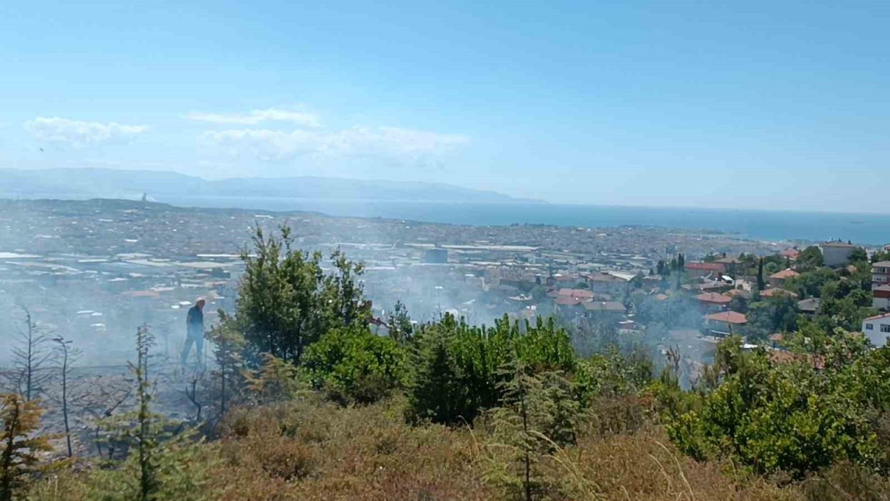 Kocaeli’de ağaçlık alanda çıkan yangında kundaklama iddiası