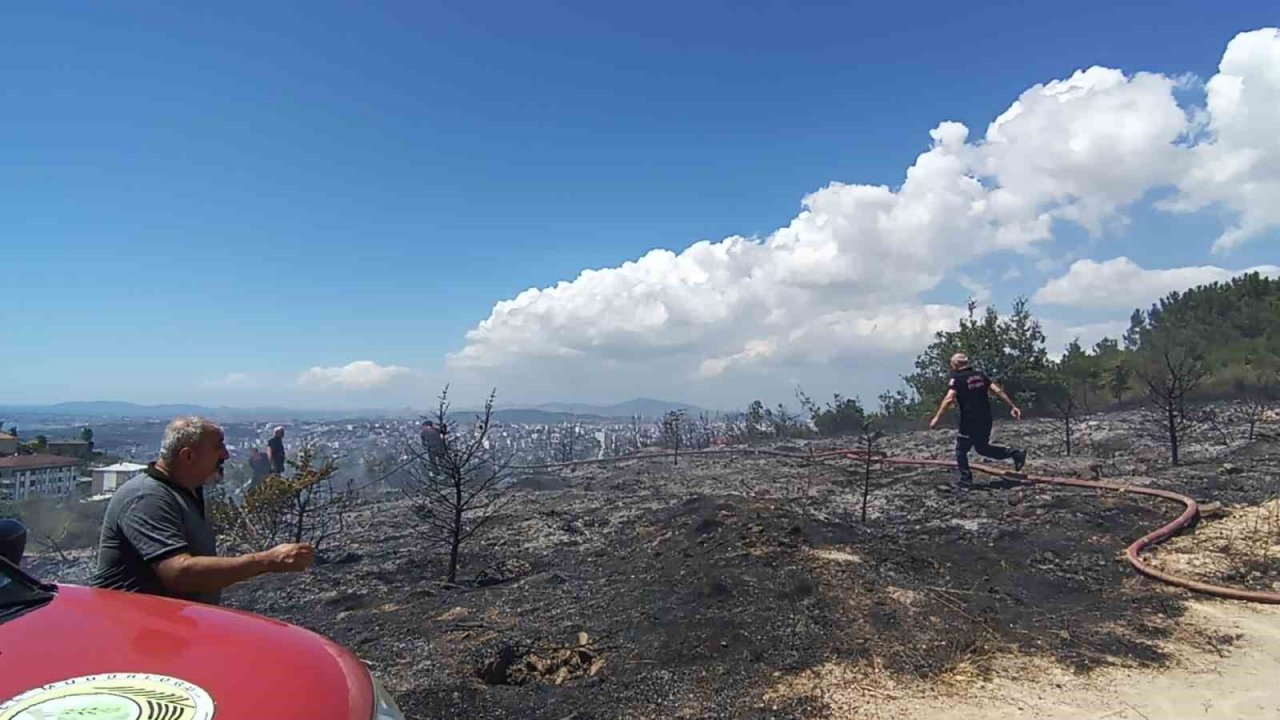 Kocaeli’de ağaçlık alanda çıkan yangında kundaklama iddiası