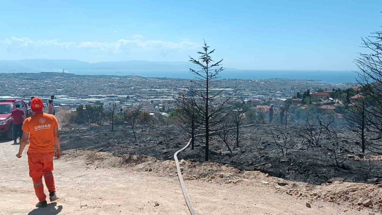 Kocaeli’de ağaçlık alanda çıkan yangında kundaklama iddiası