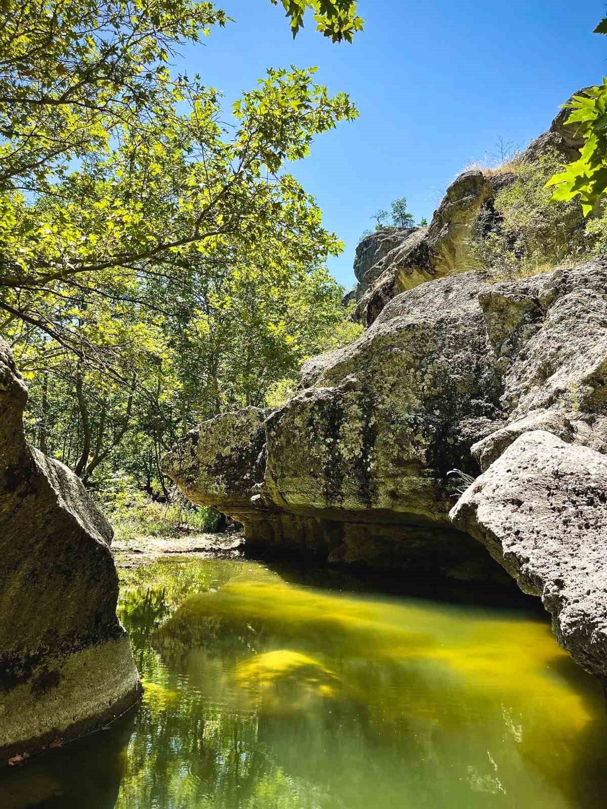 Selendi’nin gizli hazinesi gün yüzüne çıkıyor