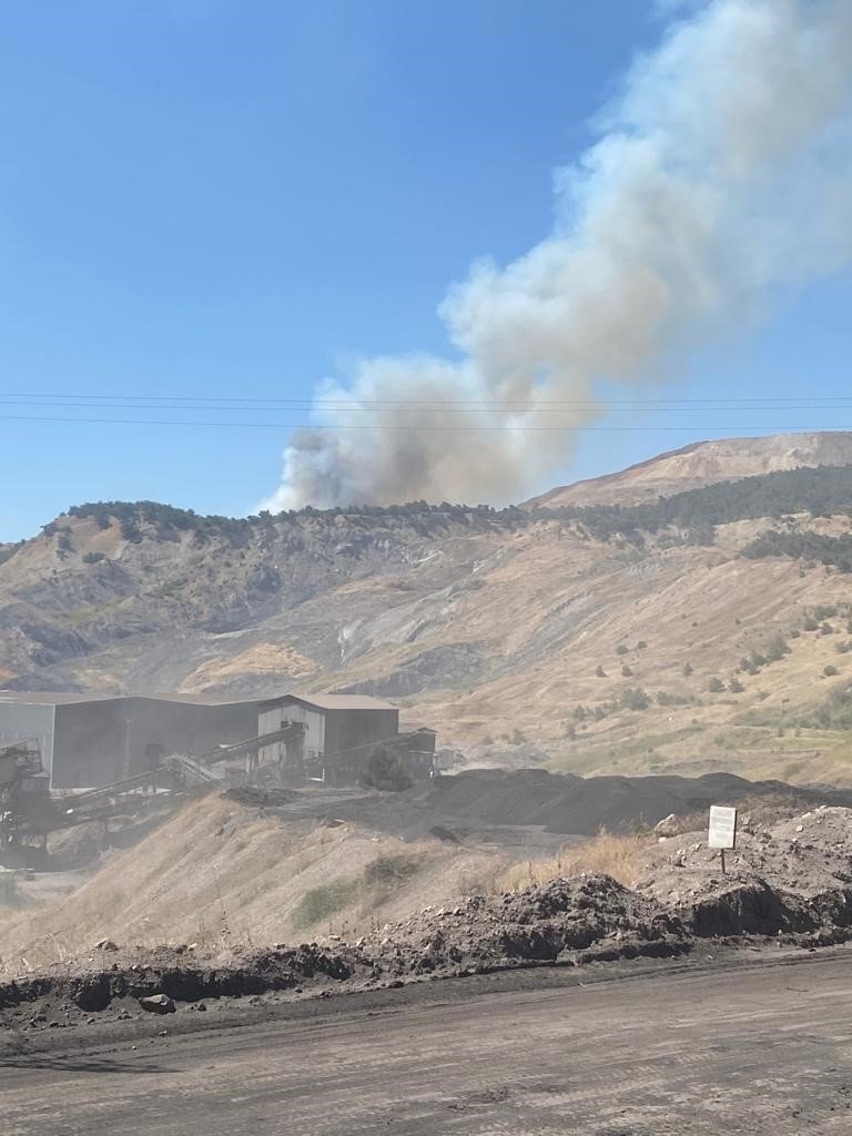 Manisa’da orman yangını