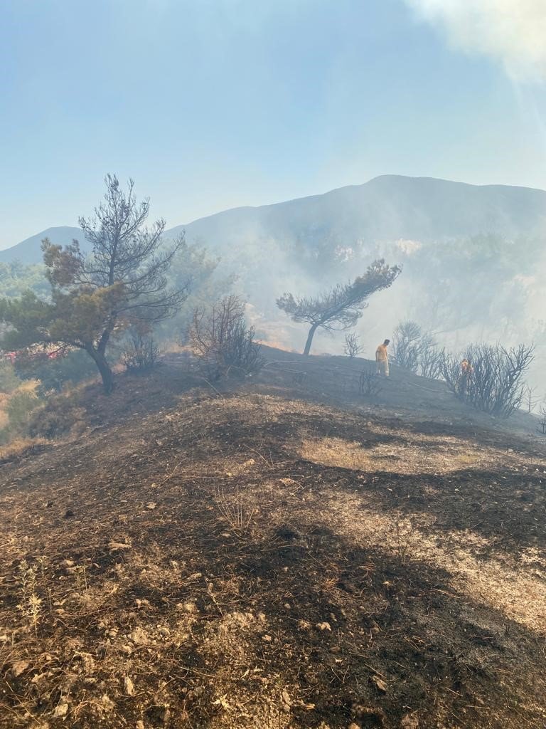 Manisa’da orman yangını