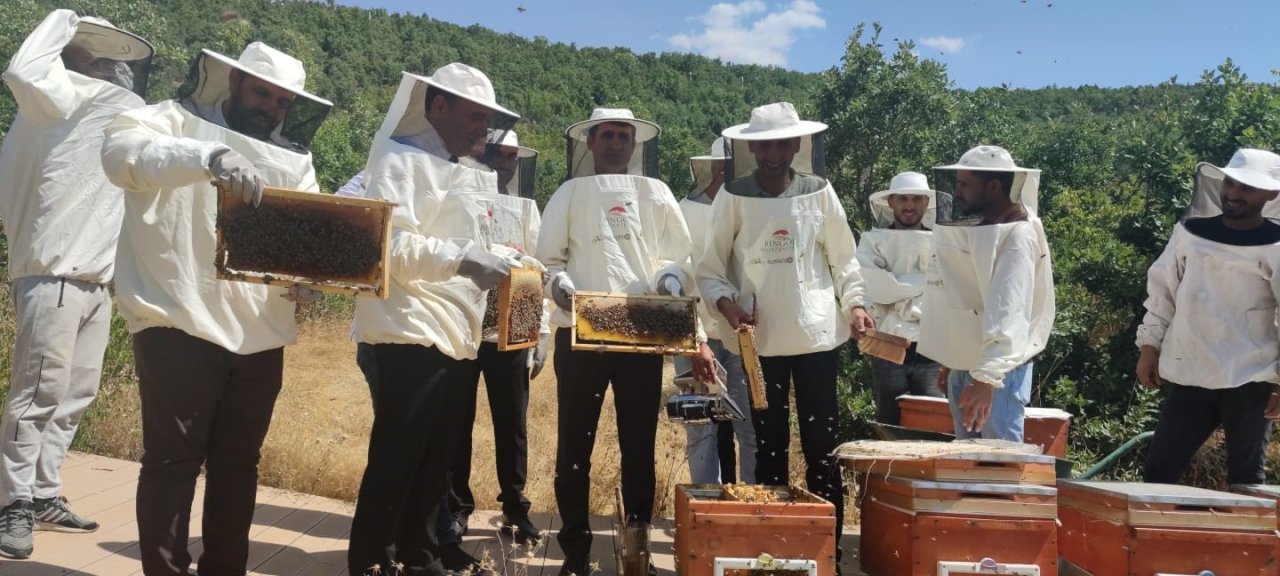 Bir yılda 9 farklı dalda ödül alan dünya birincisi Bingöl balında hasat başladı