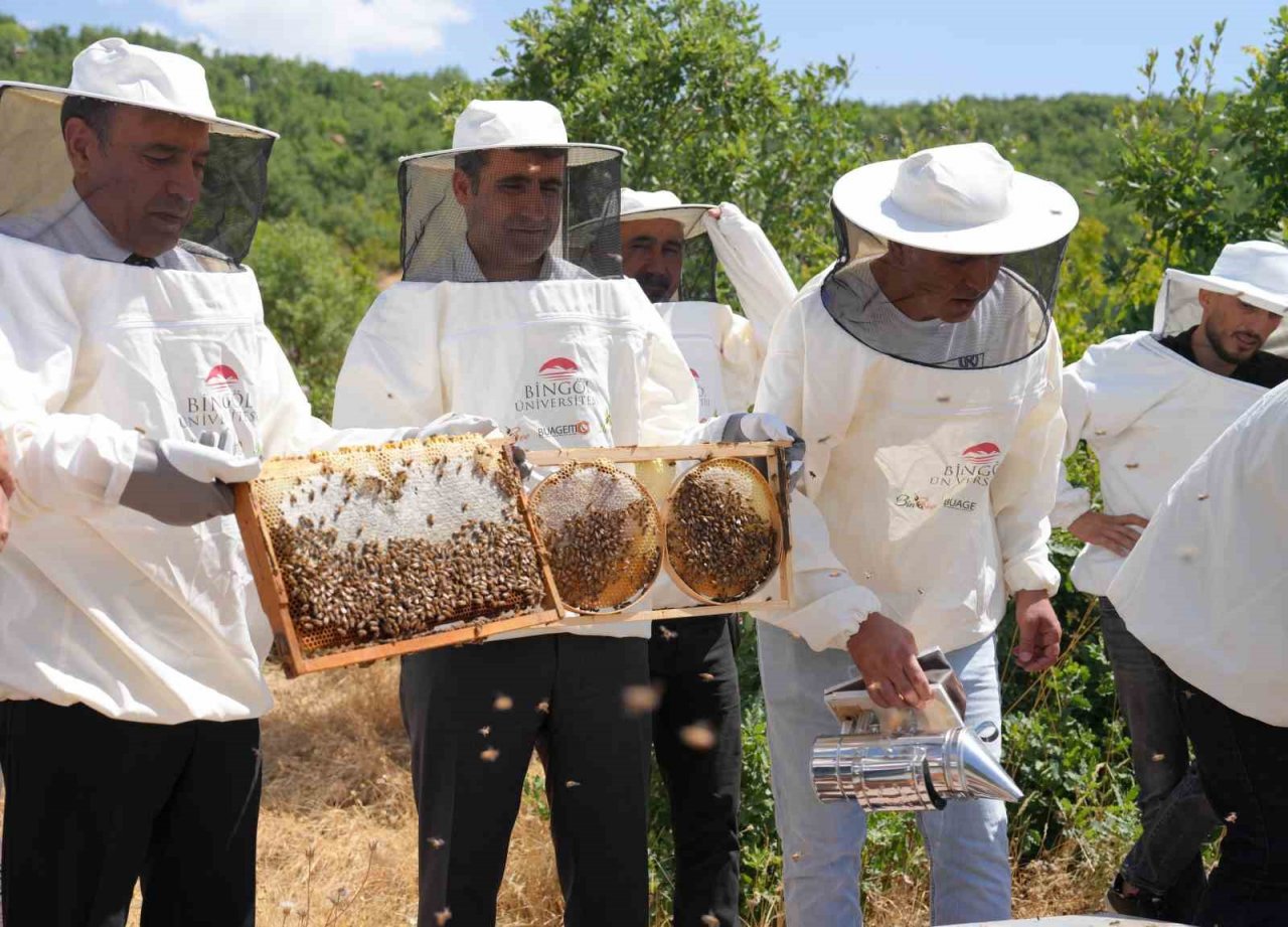 Bir yılda 9 farklı dalda ödül alan dünya birincisi Bingöl balında hasat başladı