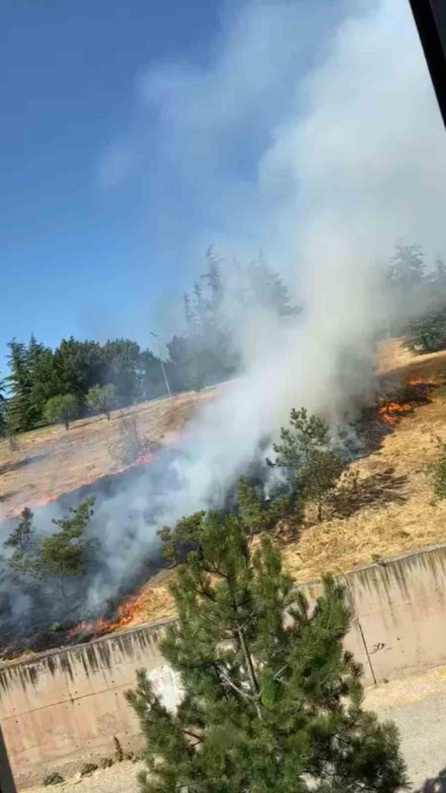 Çamlık arazide çıkan yangına ilk müdahaleyi vatandaş hortumla yaptı