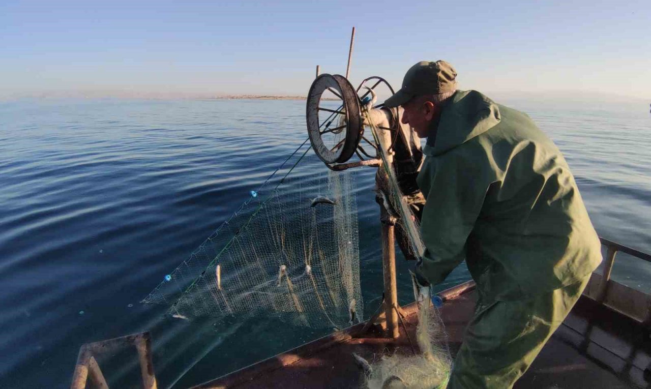Vanlı balıkçılar sezondan memnun