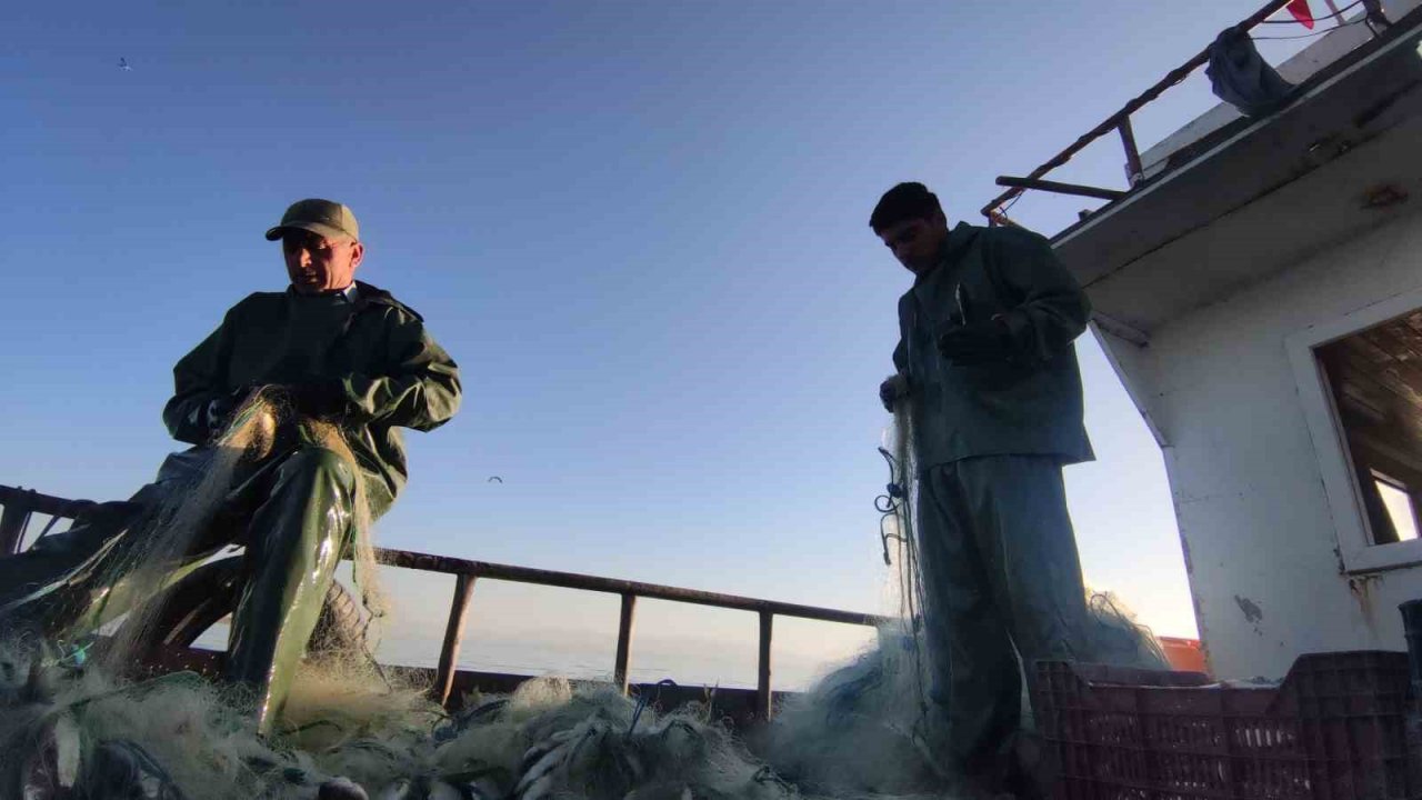 Vanlı balıkçılar sezondan memnun