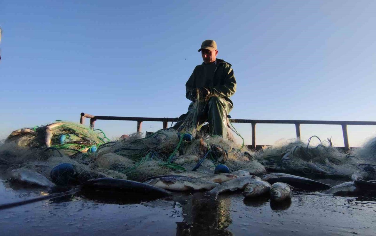 Vanlı balıkçılar sezondan memnun