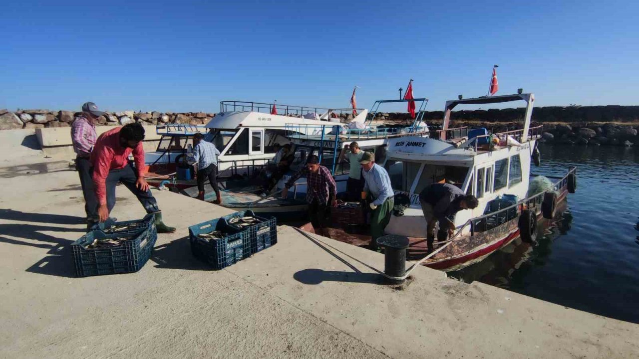 Vanlı balıkçılar sezondan memnun