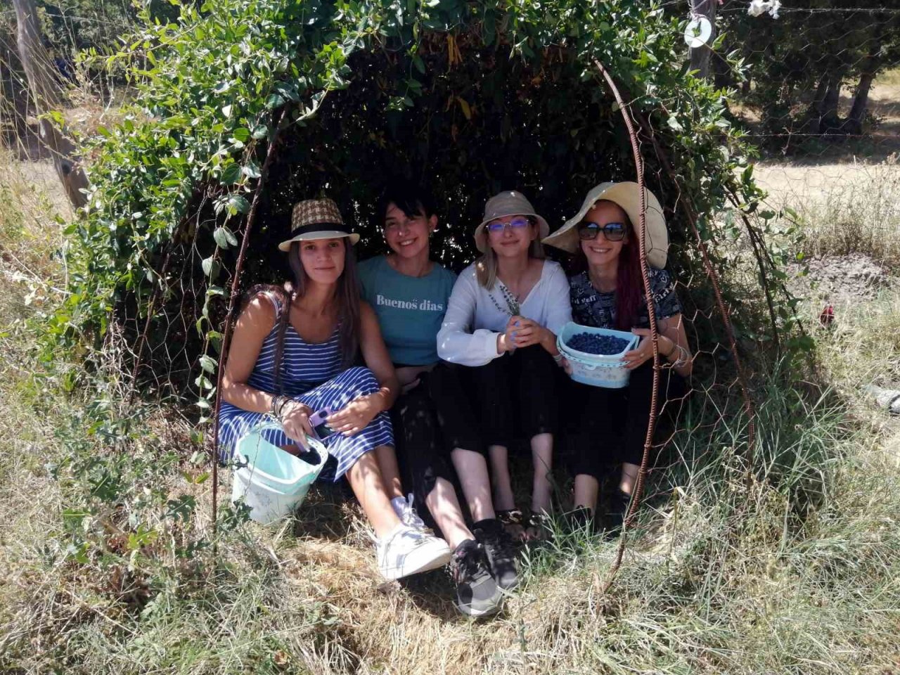 Yaban mersini hasadını Romanyalı kızlar yaptı