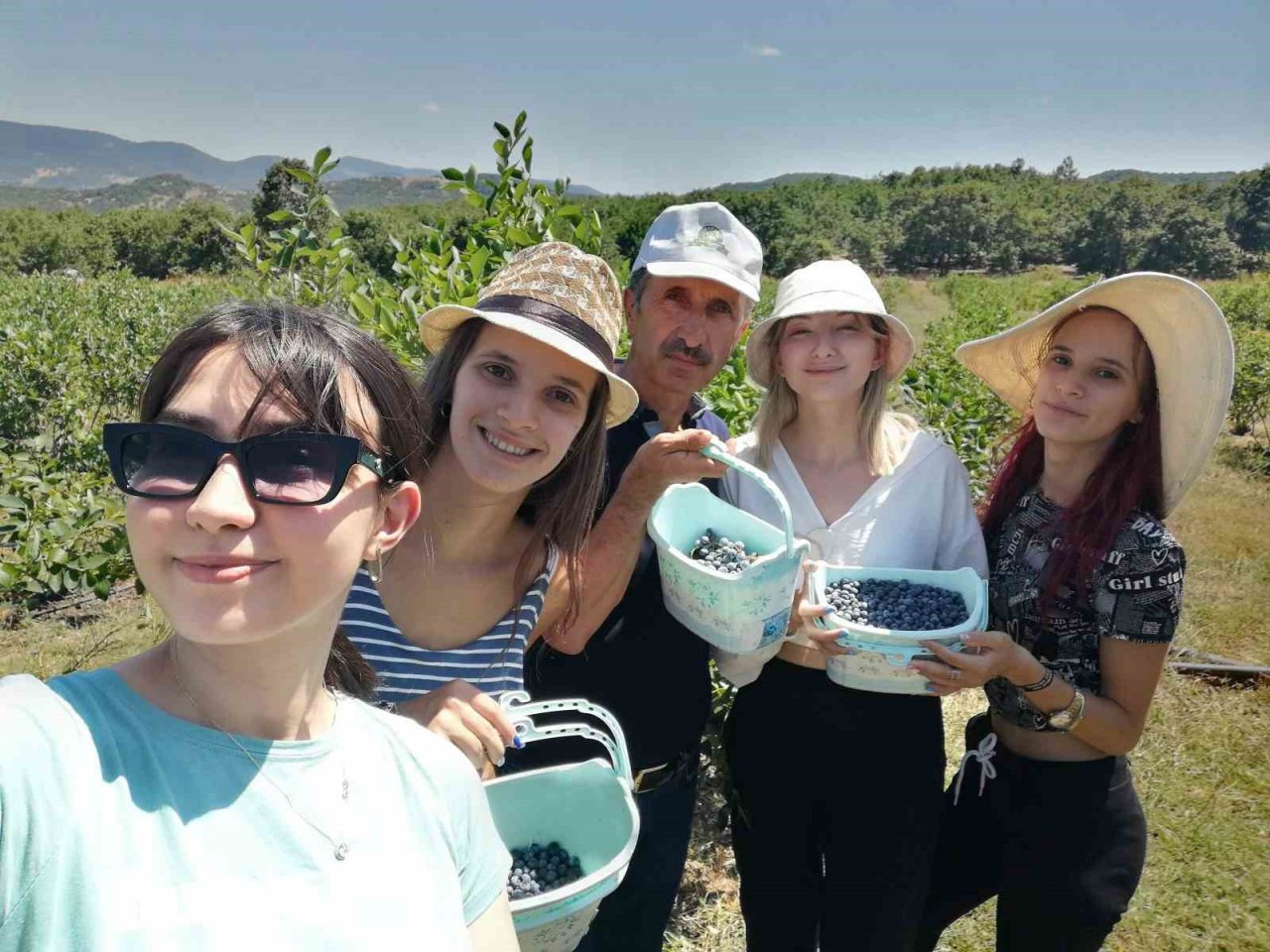 Yaban mersini hasadını Romanyalı kızlar yaptı