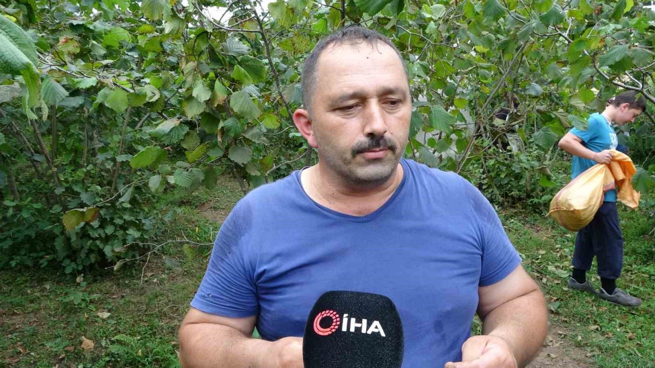 Üreticilerden ’fındık fiyatı’ değerlendirmesi