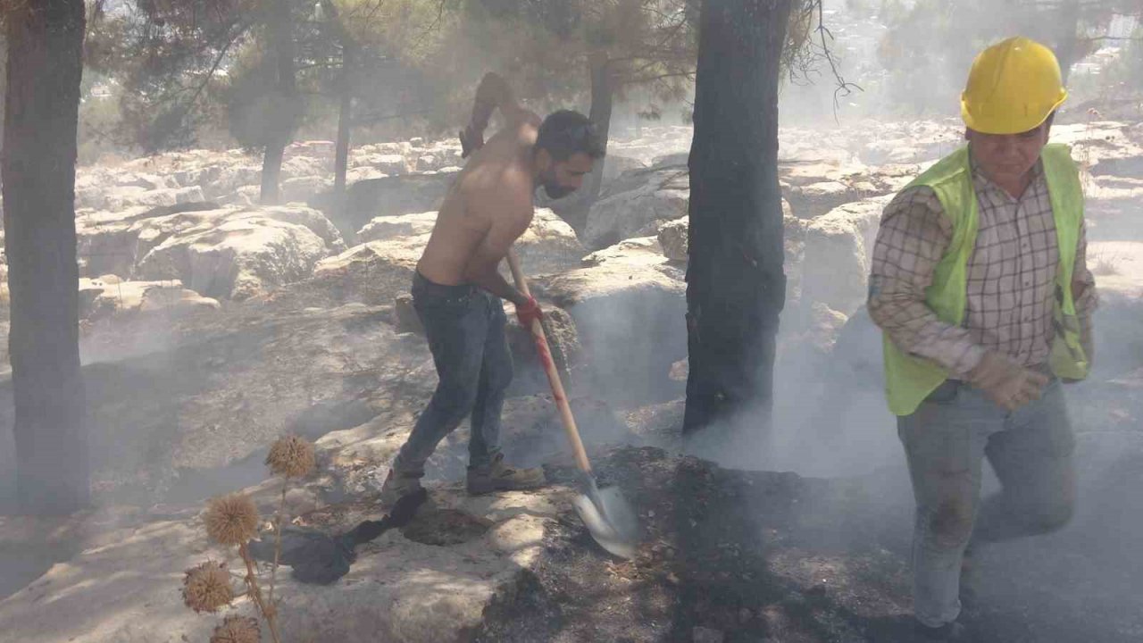 Alev alev yanan ağacı tişörtüyle söndürdü