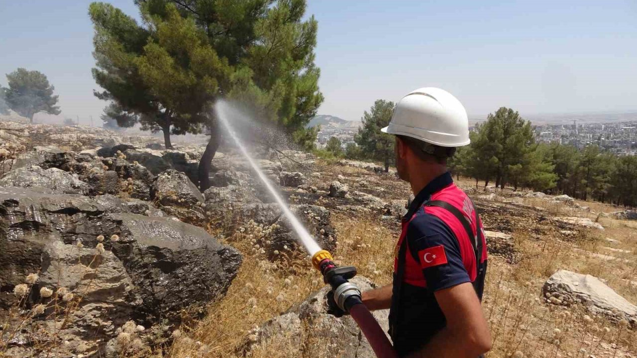 Alev alev yanan ağacı tişörtüyle söndürdü