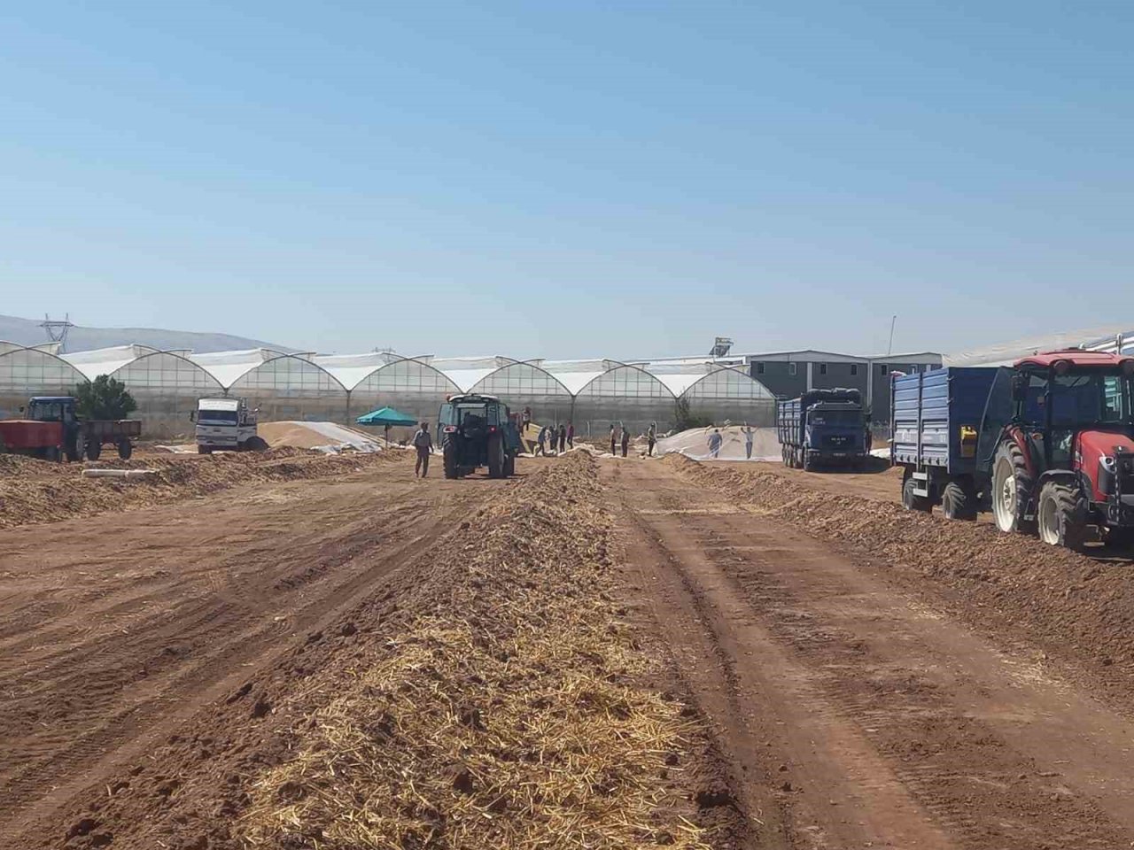 Sandıklı’da arpa ve buğday alımı sürüyor