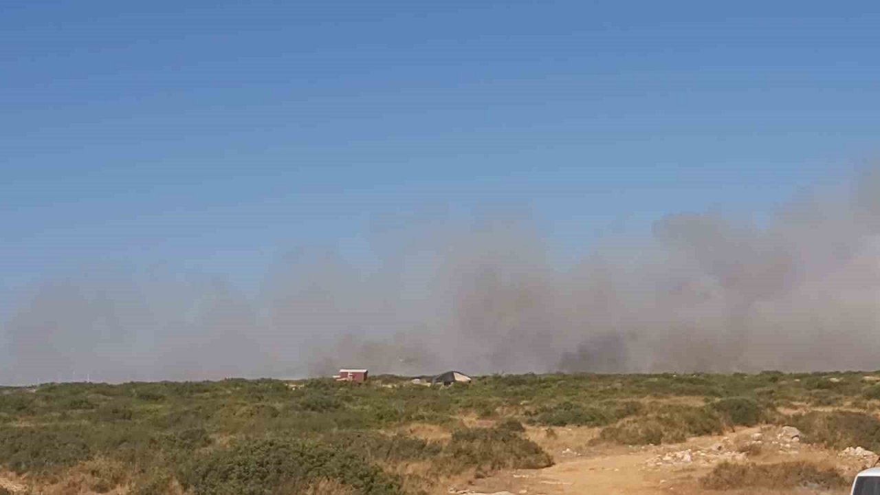 Didim’deki yangını söndürme çalışmaları devam ediyor