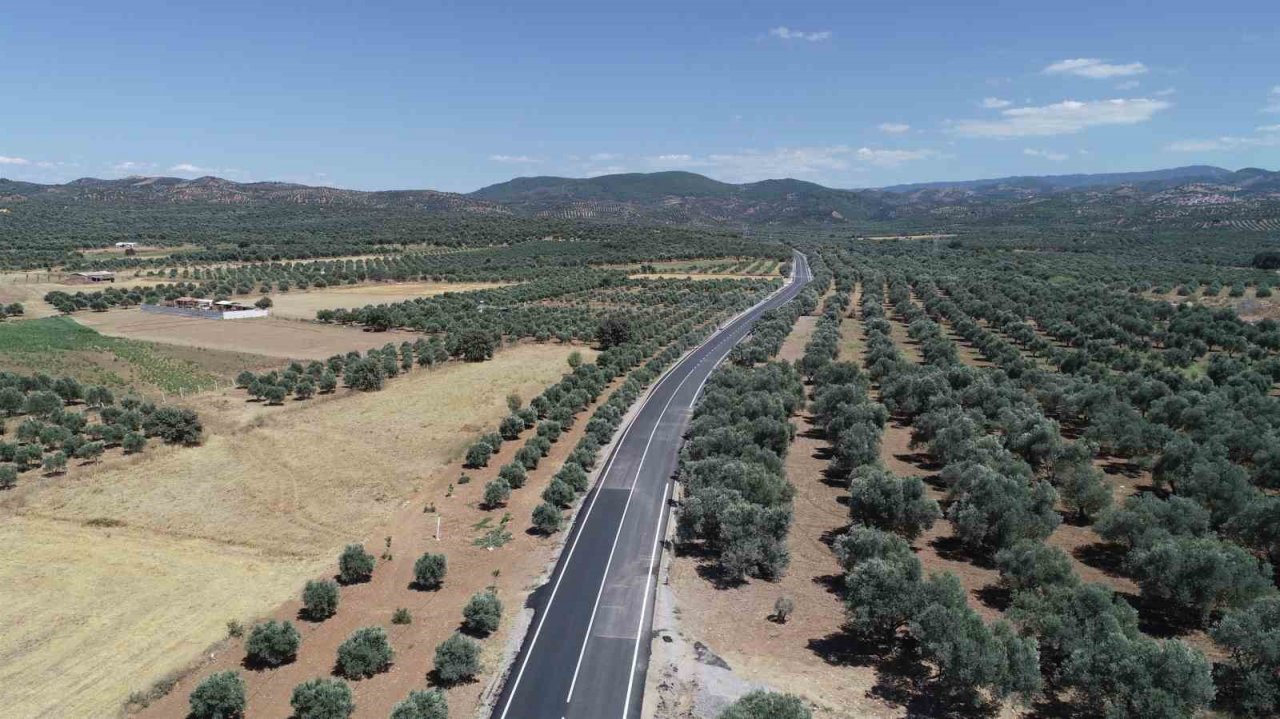 Hem zeytinlikler hem de işçiler tozdan kurtuldu