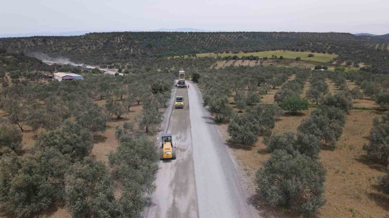 Hem zeytinlikler hem de işçiler tozdan kurtuldu