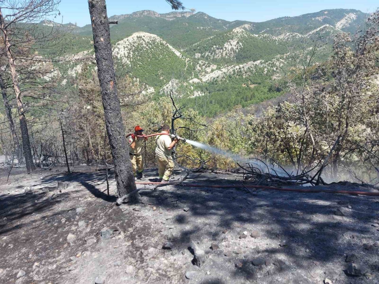 Bilecik’te tamamen sönen orman yangını alanında soğutma işlemleri devam ediyor