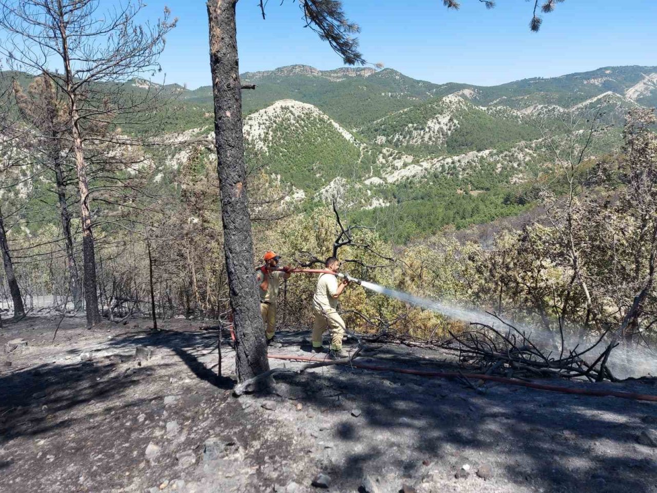 Bilecik’te tamamen sönen orman yangını alanında soğutma işlemleri devam ediyor