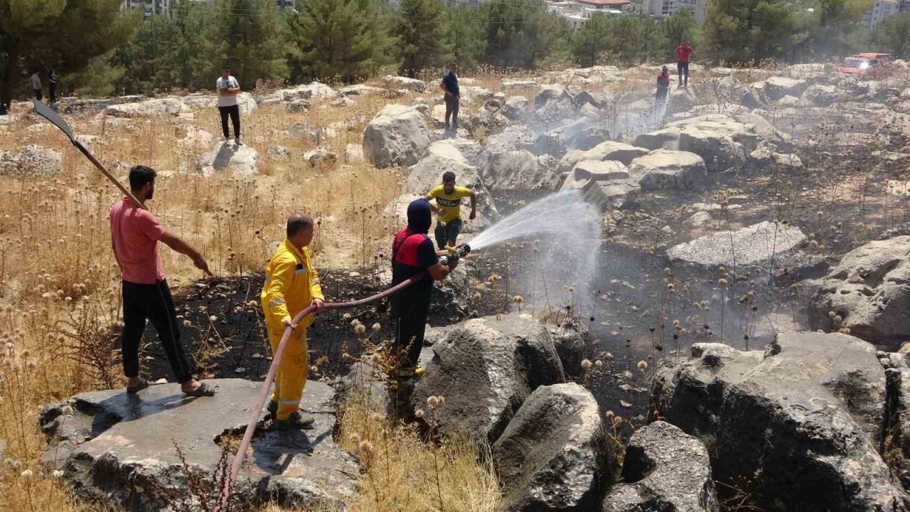 Alev alev yanan ağacı tişörtüyle söndürdü