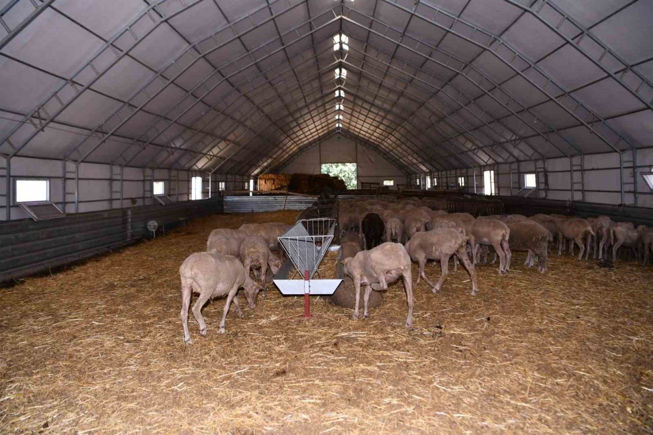 Savaştepe, Büyükşehir eliyle gelişiyor