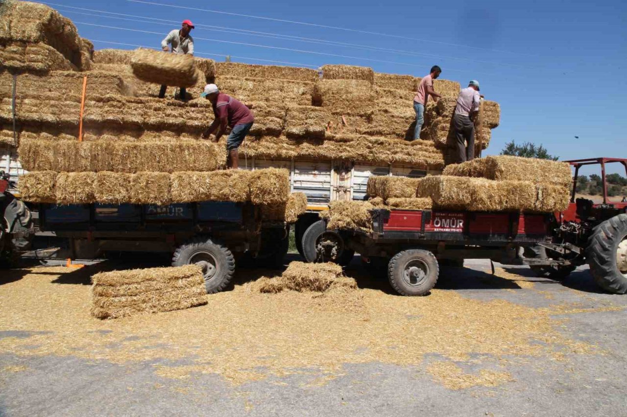 Çanakkale’de 142 çiftçinin etkilendiği orman yangınının yaraları sarılmaya başlandı