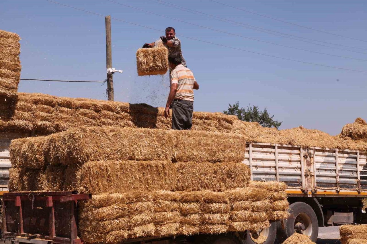 Çanakkale’de 142 çiftçinin etkilendiği orman yangınının yaraları sarılmaya başlandı