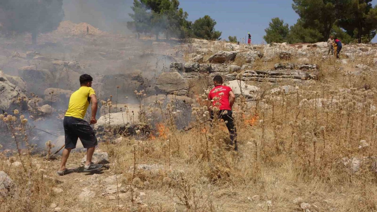 Alev alev yanan ağacı tişörtüyle söndürdü