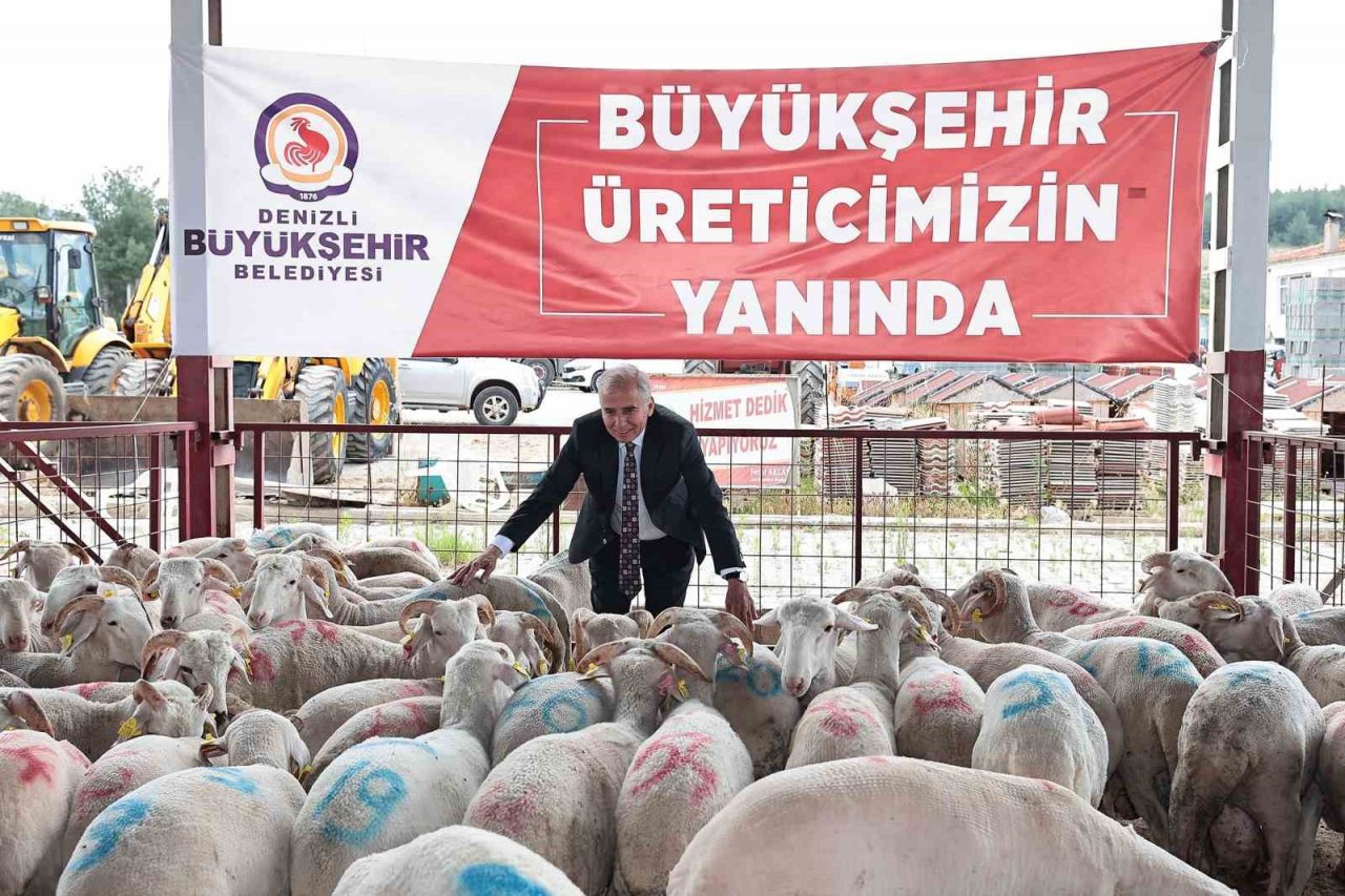 Denizli’de 650 bin hayvan için 140 bin mineral taşı dağıtıldı