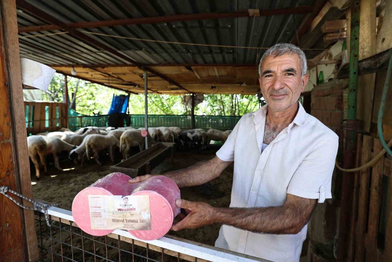 Denizli’de 650 bin hayvan için 140 bin mineral taşı dağıtıldı