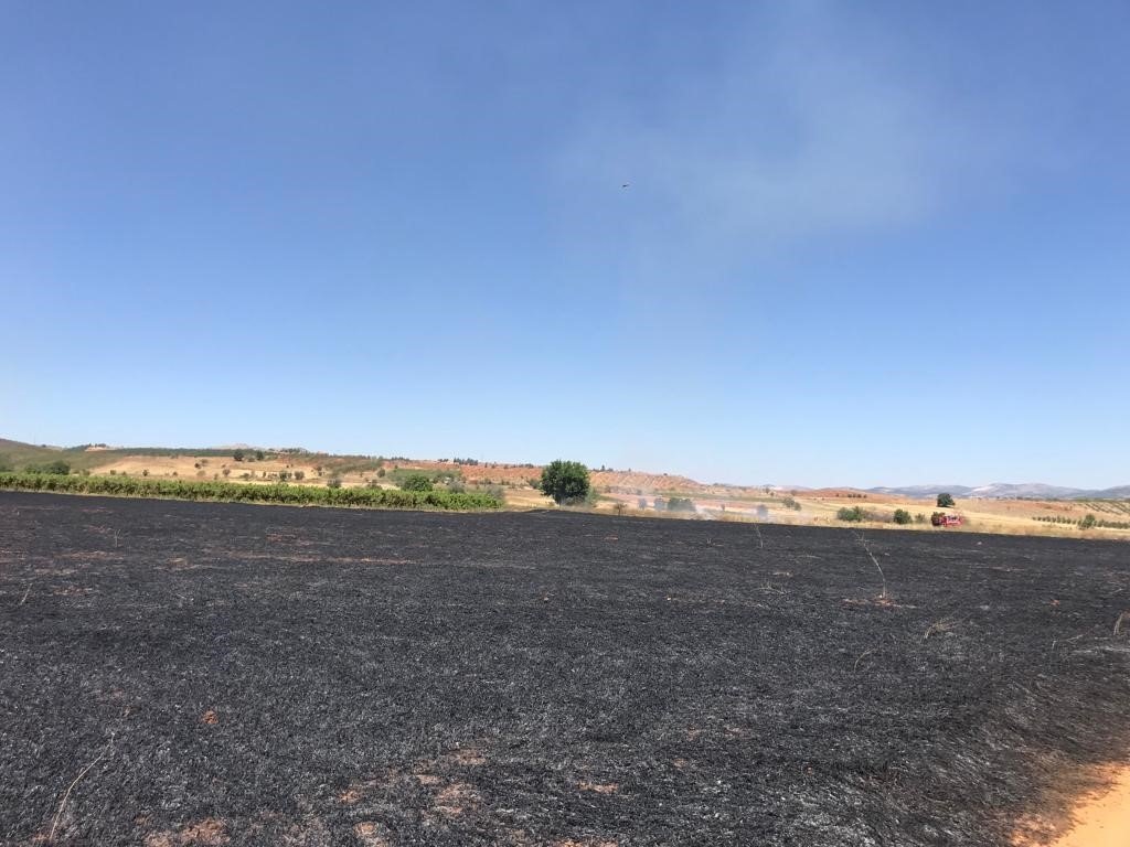 Anızda başlayan yangın ekili arazilere sıçradı