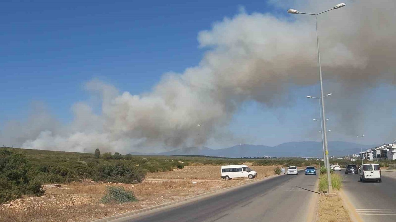 Didim’de makilik ve zirai alan yangını