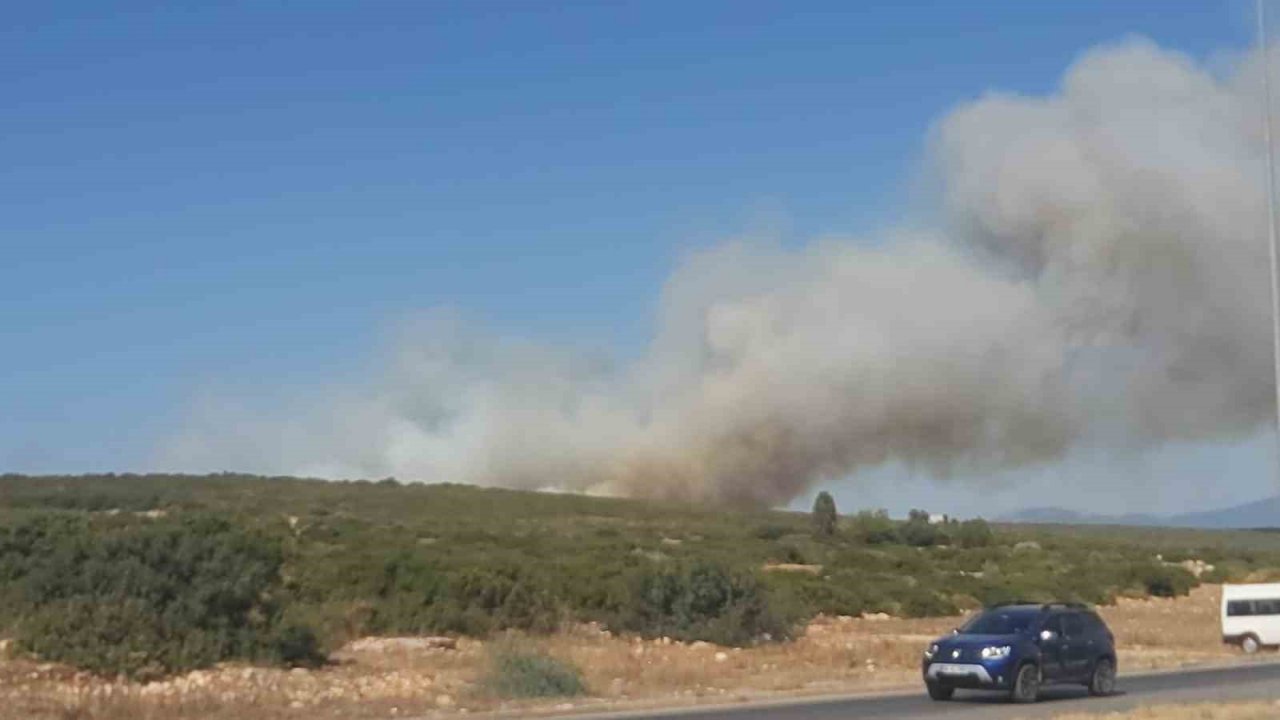 Didim’de makilik ve zirai alan yangını