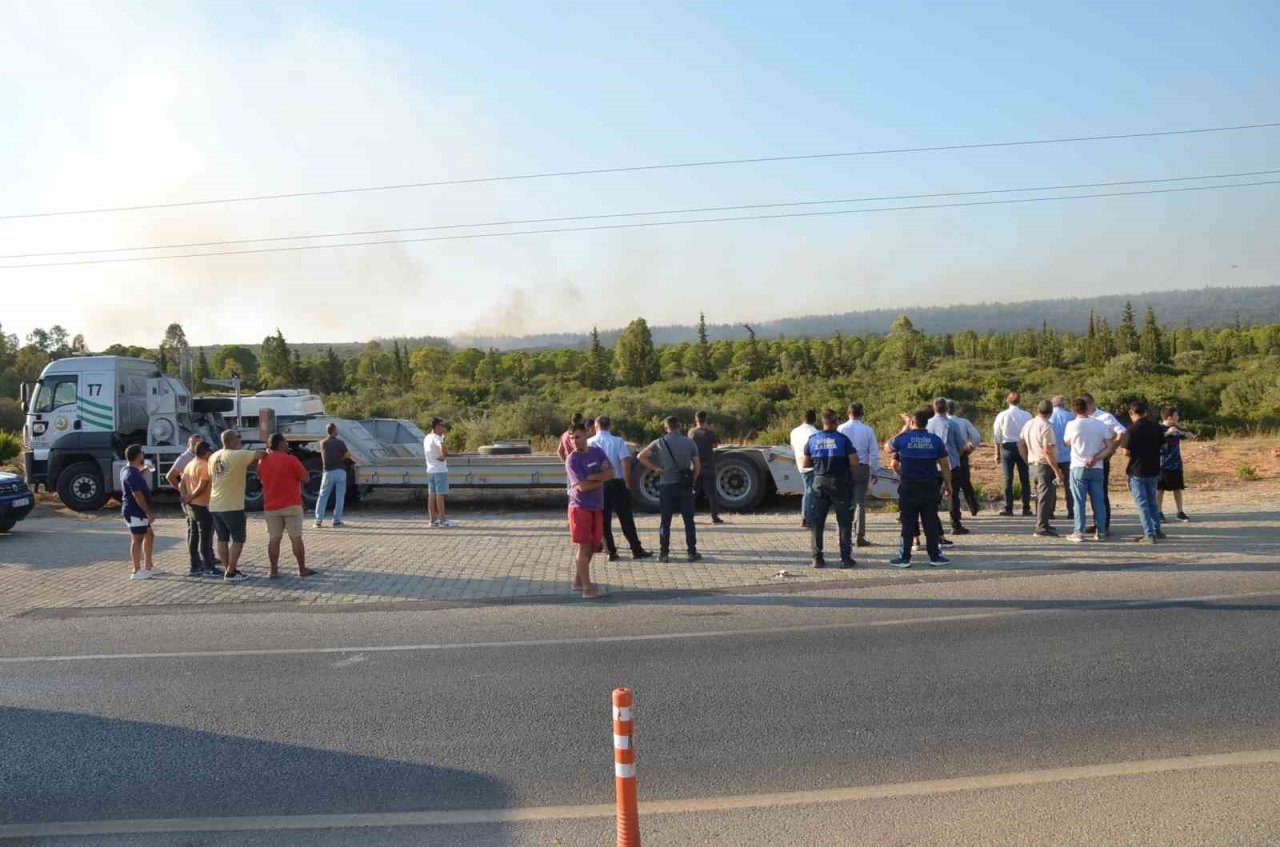 Didim’deki yangın 4,5 saat sonra kontrol altına alındı