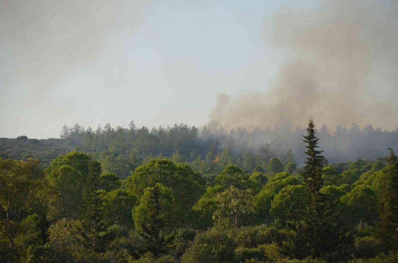 Didim’deki yangın 4,5 saat sonra kontrol altına alındı