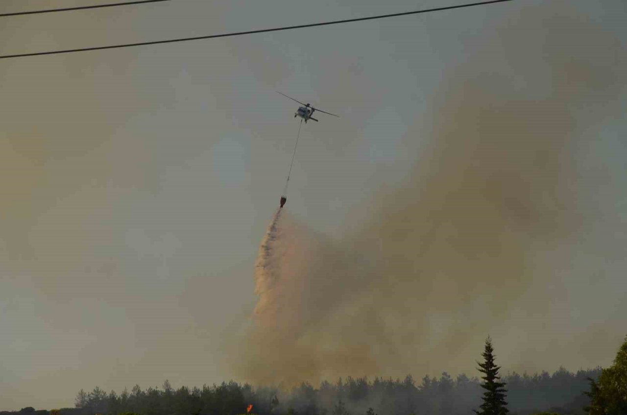 Didim’deki yangın 4,5 saat sonra kontrol altına alındı