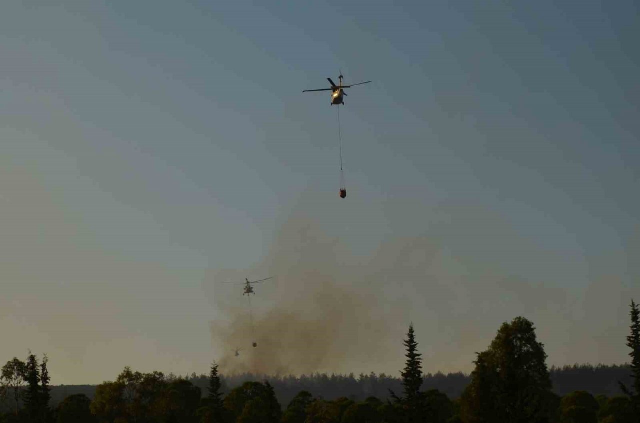 Didim’deki yangın 4,5 saat sonra kontrol altına alındı