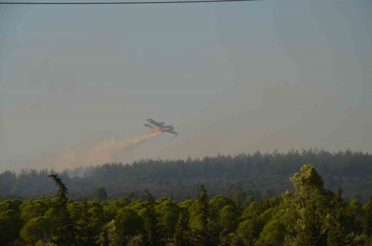Didim’deki yangın 4,5 saat sonra kontrol altına alındı