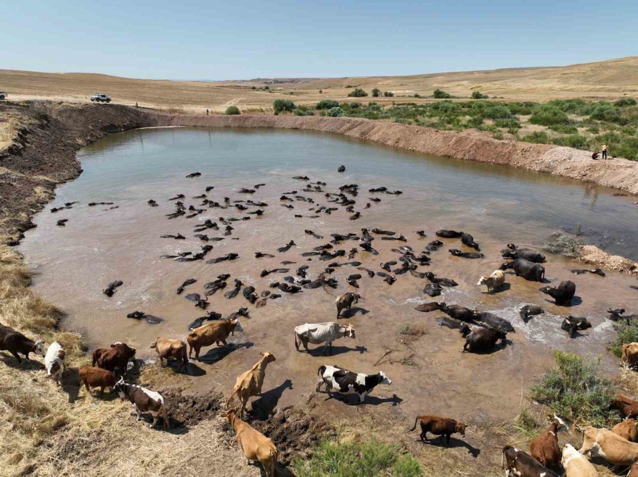 Diyarbakır’da besicilik ve tarımsal sulamada alt yapı güçlendiriliyor